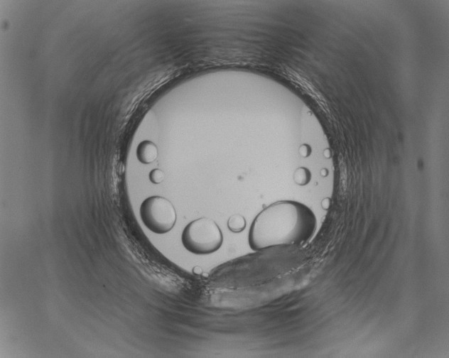 X0000066080635200604071733