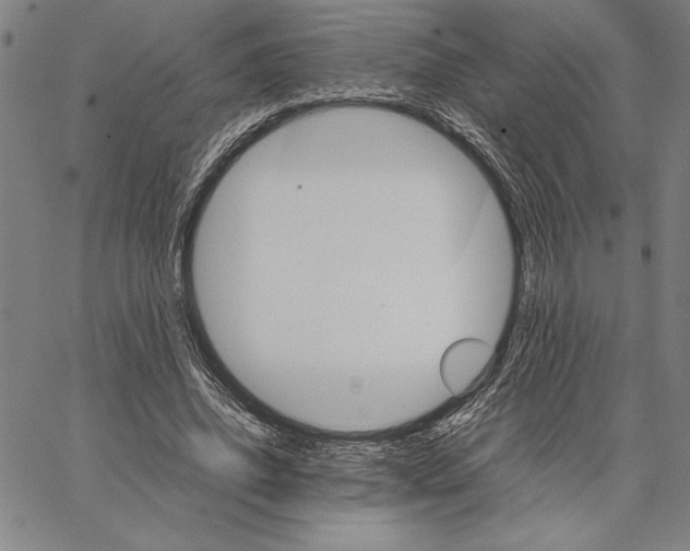 X0000066080636200604071733