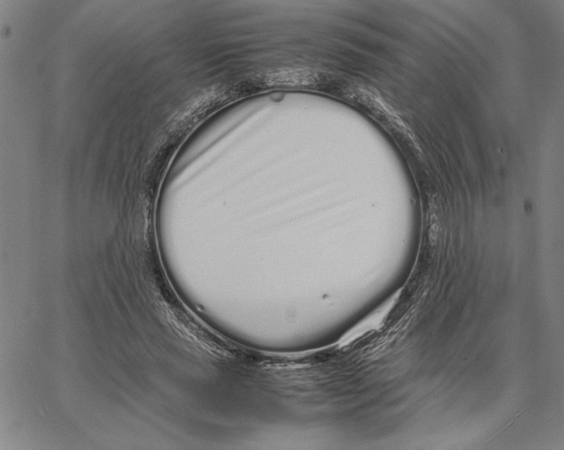 X0000066080637200604071733