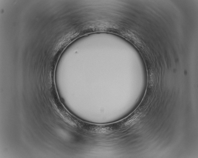 X0000066080638200604071733