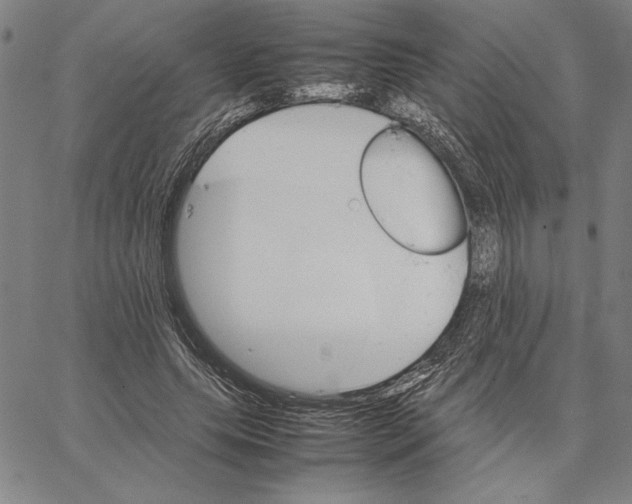 X0000066080639200604071733