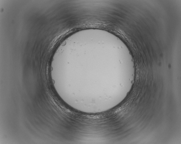 X0000066080640200604071733