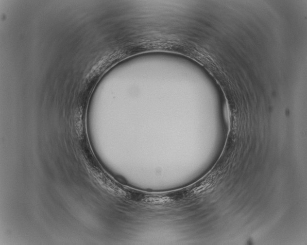 X0000066080642200604071733