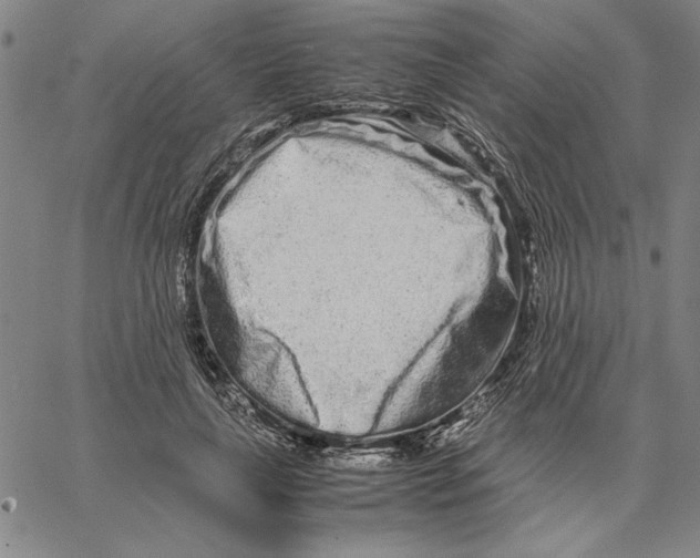 X0000066080643200604071733