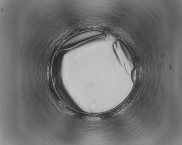 X0000066080644200604071733