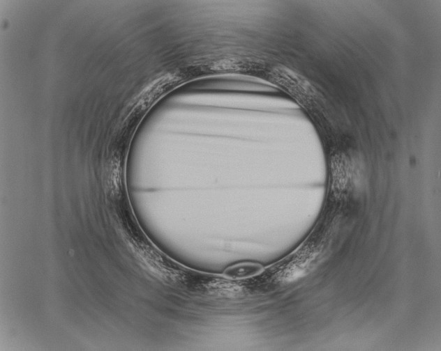 X0000066080648200604071733