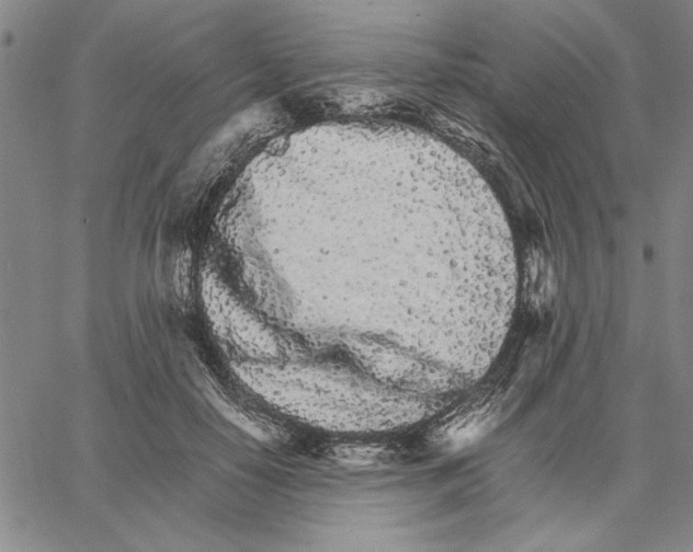 X0000066080650200604071733