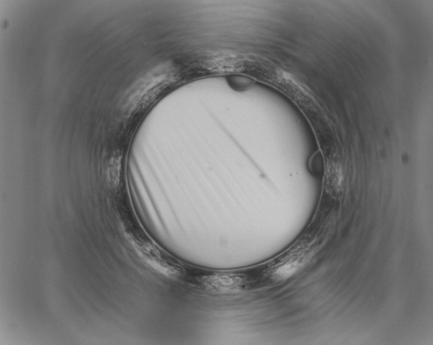 X0000066080652200604071733