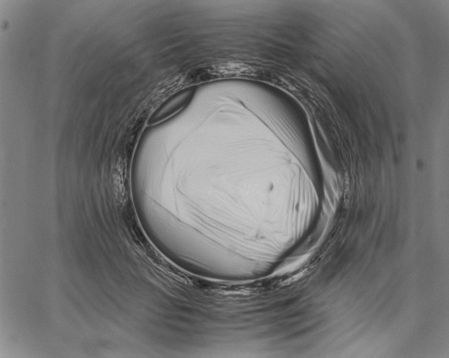 X0000066080653200604071733