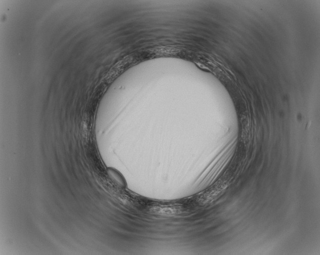 X0000066080655200604071733