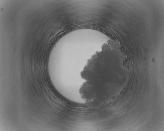 X0000066080656200604071733