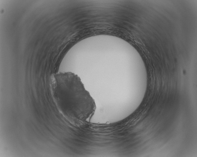 X0000066080657200604071733