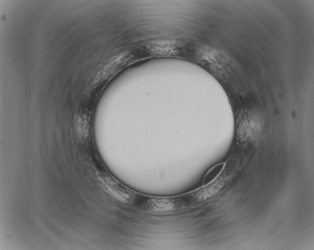 X0000066080658200604071733