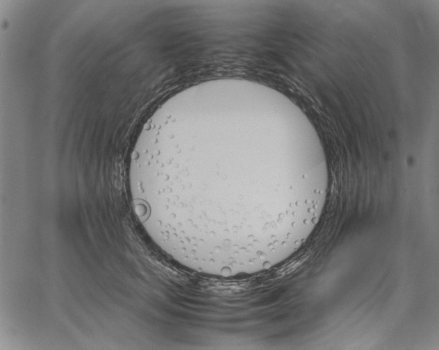 X0000066080659200604071733