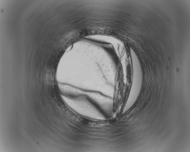 X0000066080661200604071733