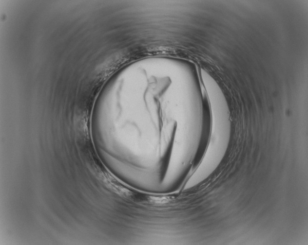 X0000066080662200604071733