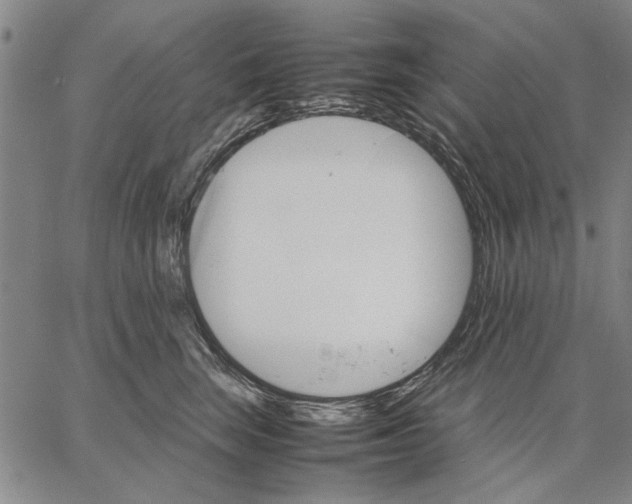 X0000066080663200604071733