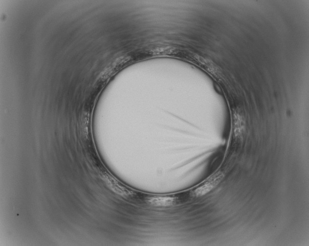 X0000066080664200604071733