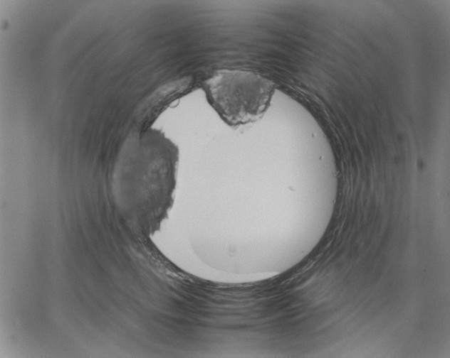 X0000066080665200604071733