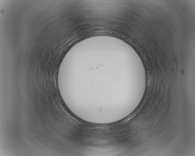 X0000066080666200604071733