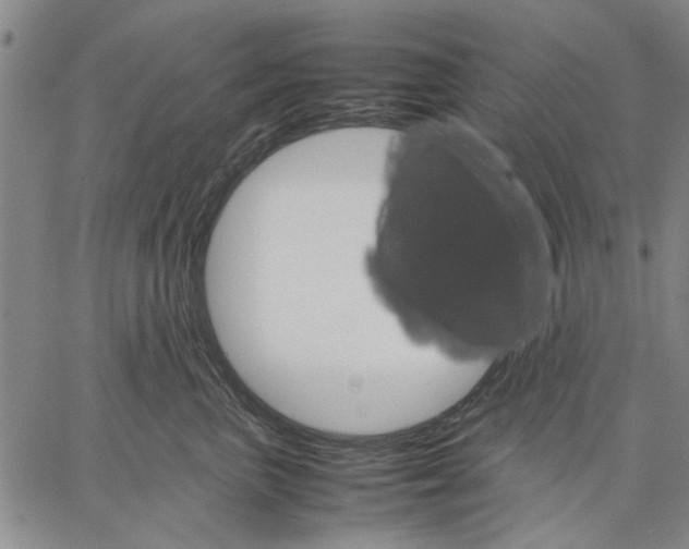 X0000066080667200604071733