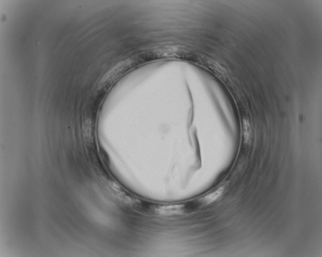 X0000066080670200604071733