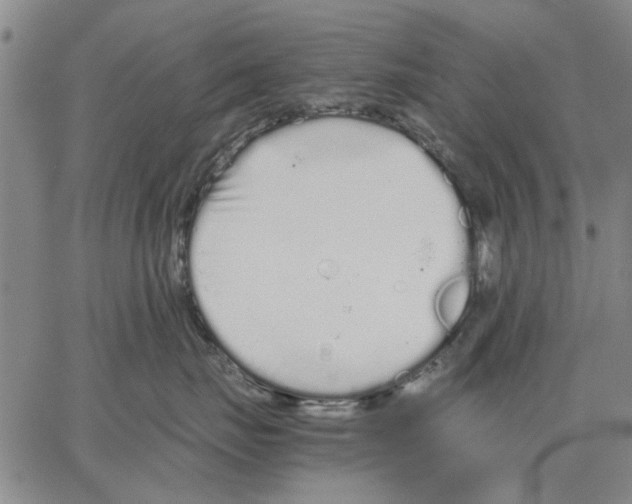 X0000066080671200604071733