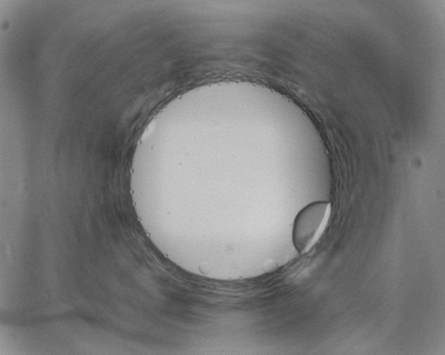 X0000066080672200604071733