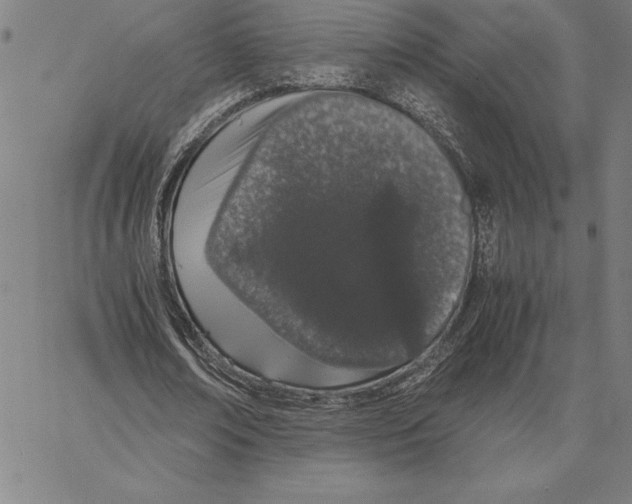 X0000066080674200604071732