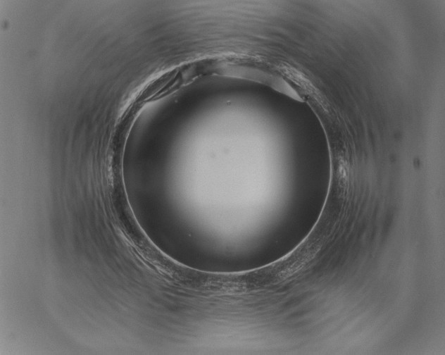 X0000066080676200604071732