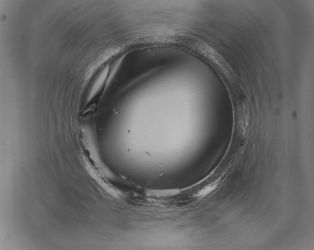 X0000066080677200604071732