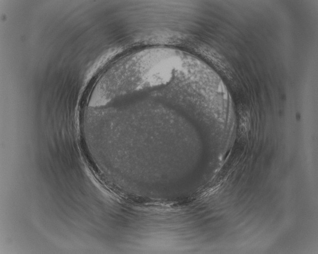 X0000066080678200604071732