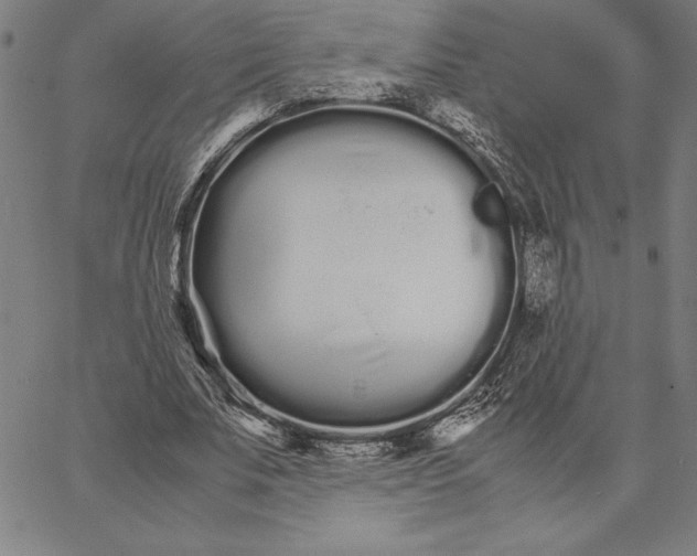 X0000066080679200604071732