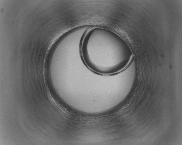 X0000066080680200604071732