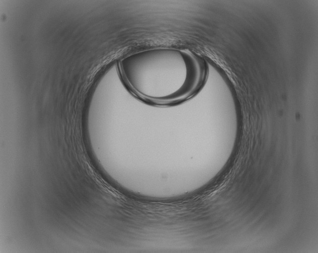 X0000066080681200604071732