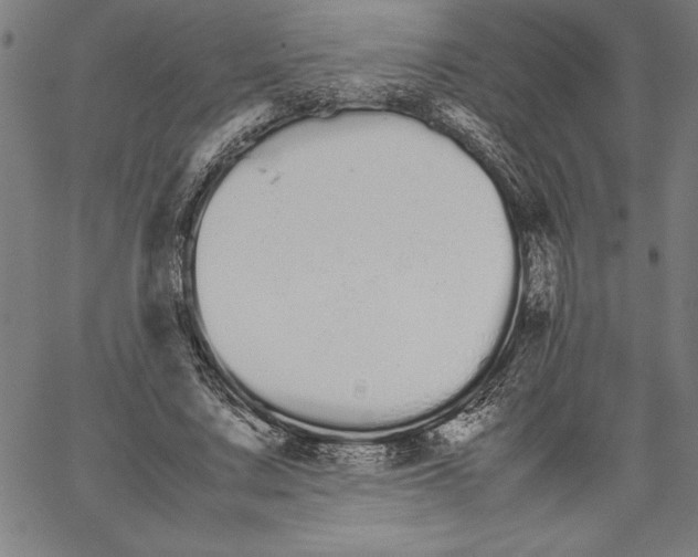 X0000066080683200604071732