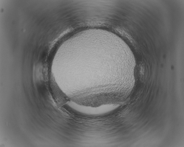 X0000066080684200604071732