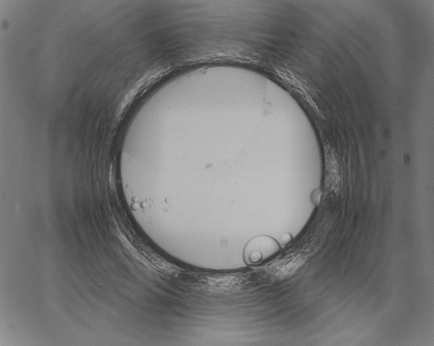 X0000066080686200604071732