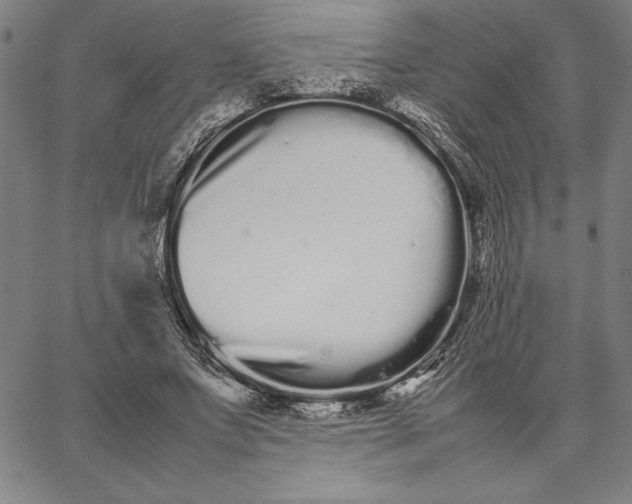 X0000066080687200604071732