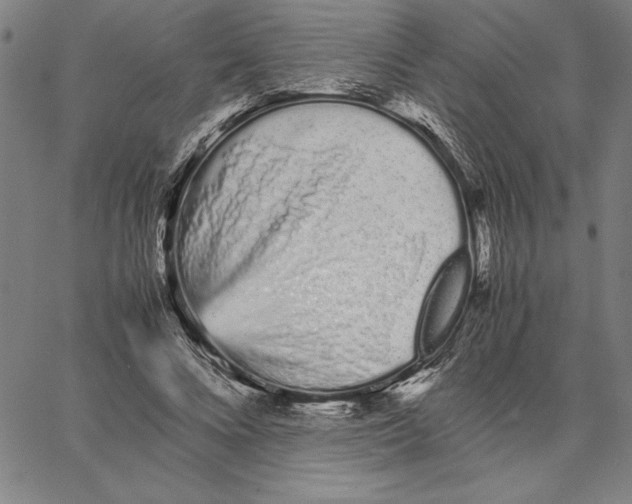 X0000066080688200604071732