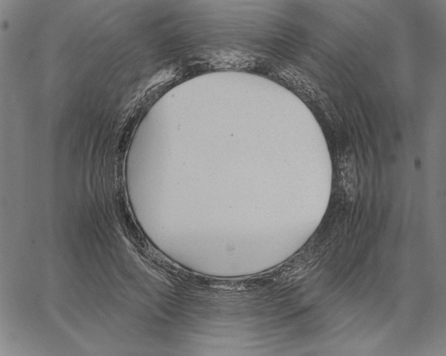 X0000066080690200604071732