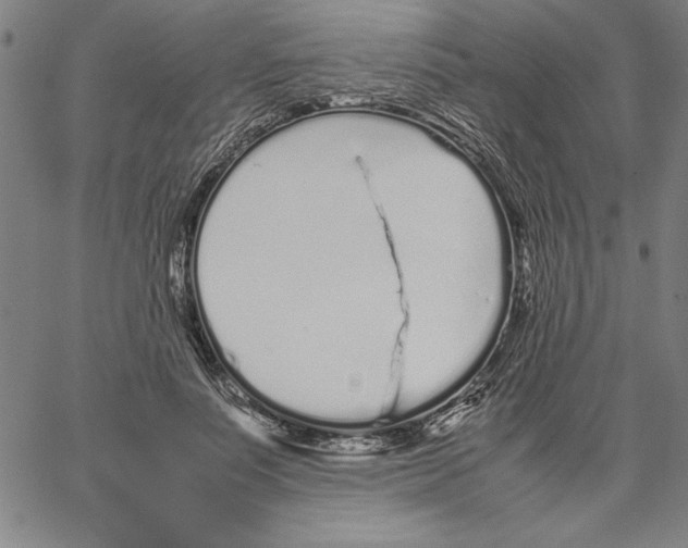 X0000066080691200604071732