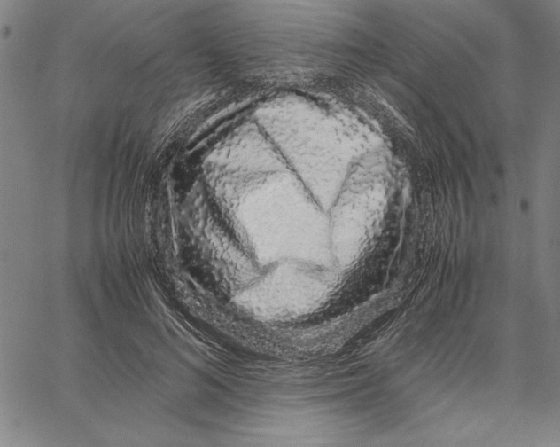 X0000066080692200604071732