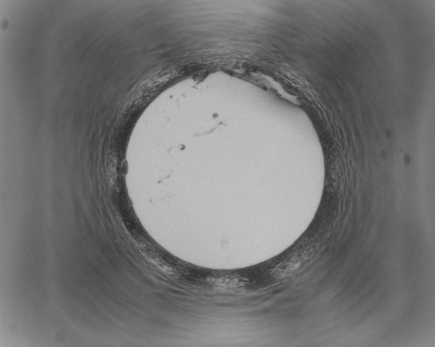 X0000066080693200604071732