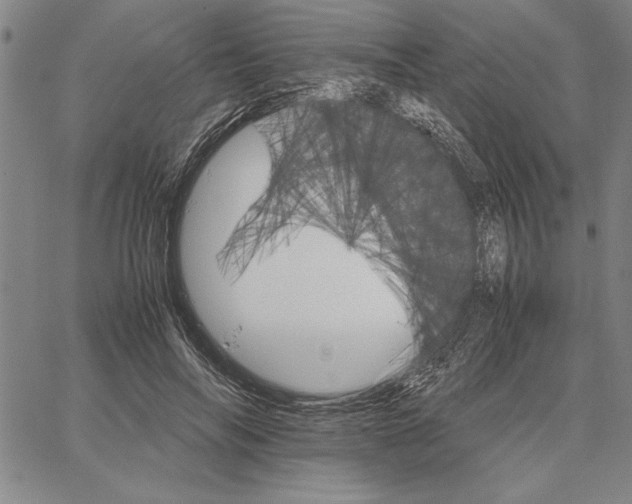 X0000066080694200604071732