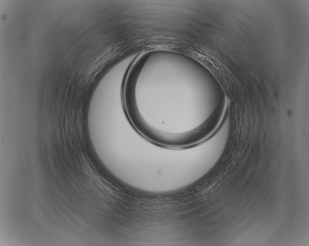 X0000066080696200604071732