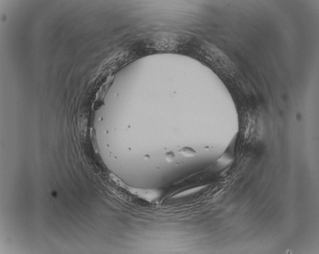 X0000066080697200604071732