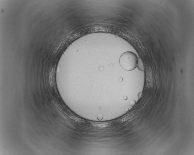 X0000066080698200604071732