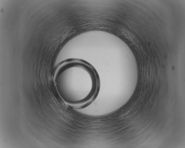 X0000066080700200604071732