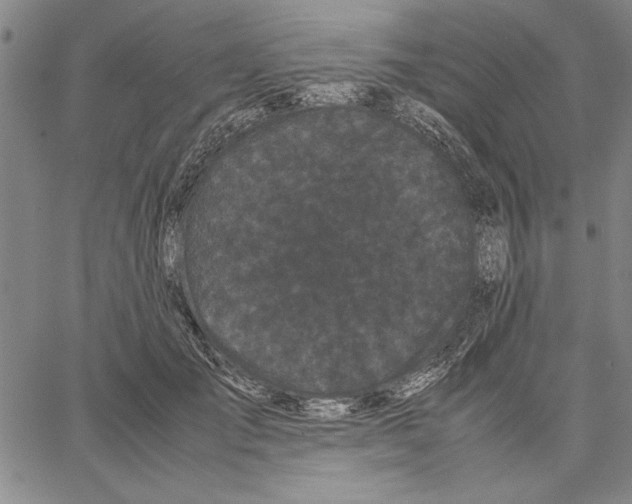 X0000066080701200604071732